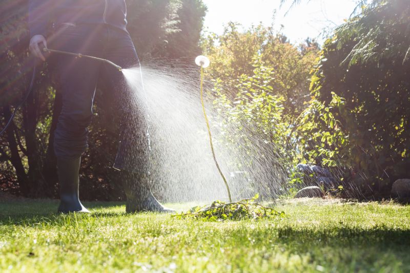 Crabgrass Prevention in Honolulu, HI