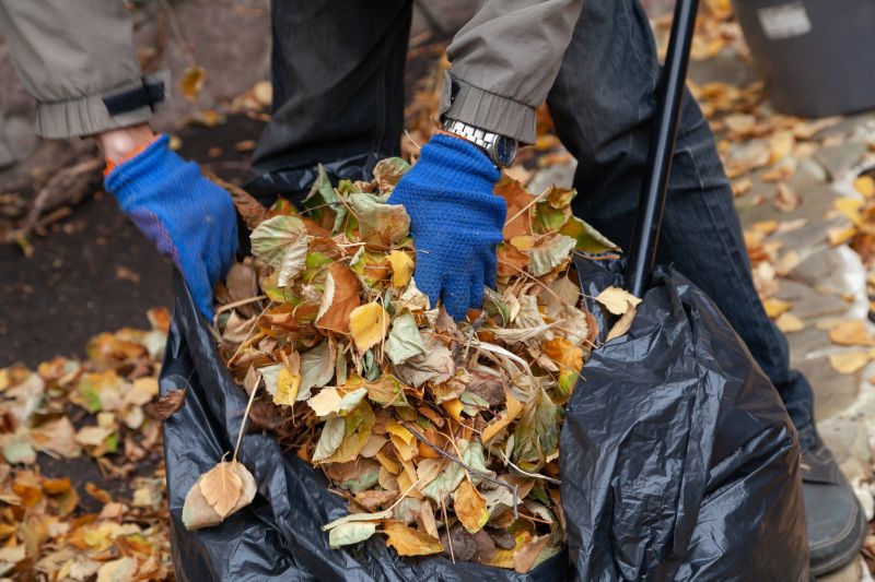 Mulching Leaves Effectively
