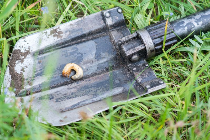 Grub Prevention in Ventura County, CA