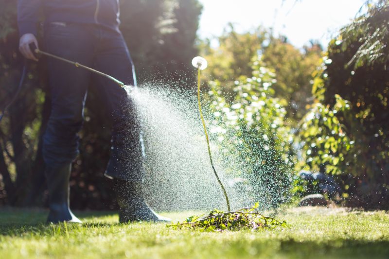 Lawn Herbicide Treatment in Honolulu, HI