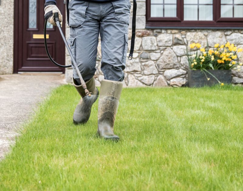 Lawn Spraying in Rockwall, TX