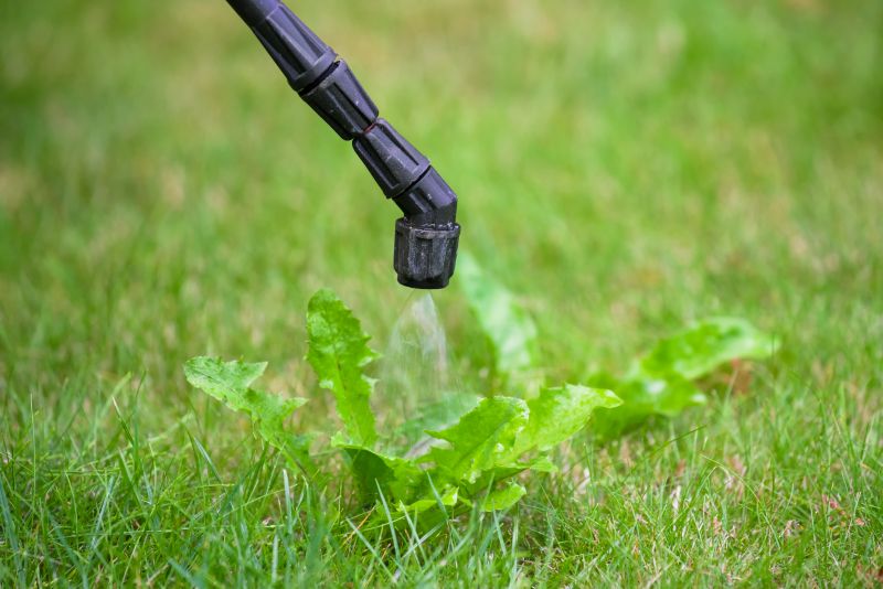 Lawn Spraying in Aiken, SC