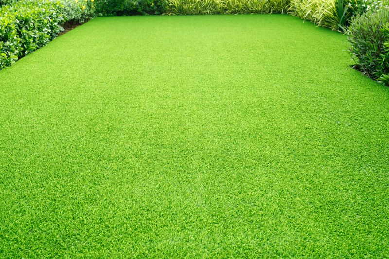 Healthy Lawn After Top Dressing