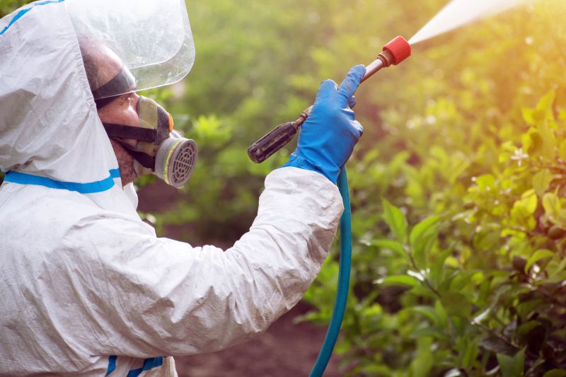 Lawn Weed Control in Honolulu, HI