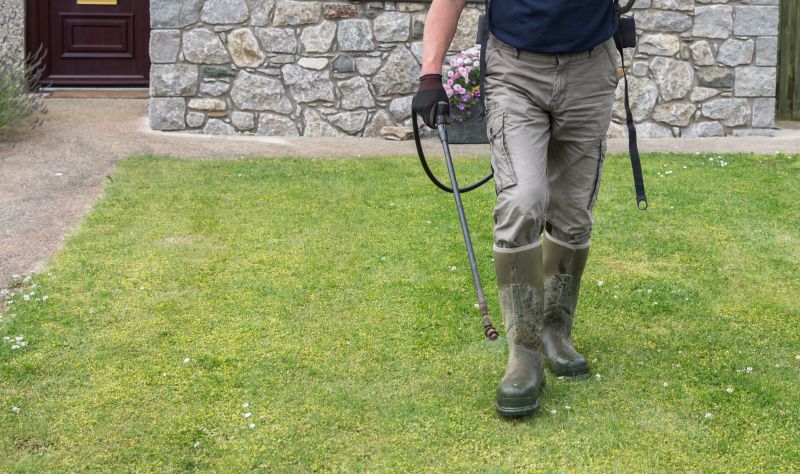 Lawn Weed Spraying in Rockwall, TX