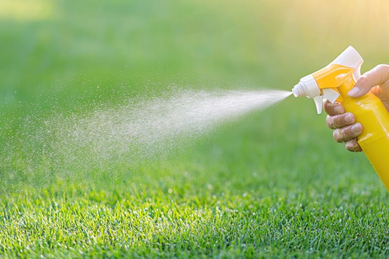 Lawn Weed Spraying in Rockwall, TX