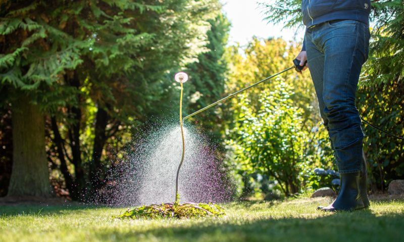Lawn Weed Spraying in Aiken, SC