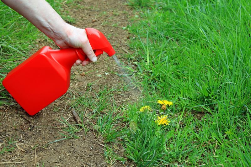 Lawn Weed Treatment in Ventura County, CA