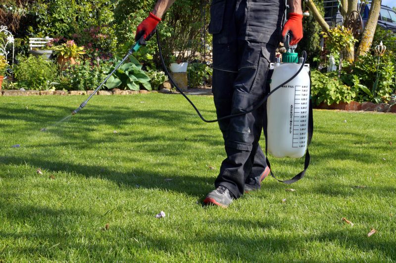 Lawn Weed Treatment in Rockwall, TX
