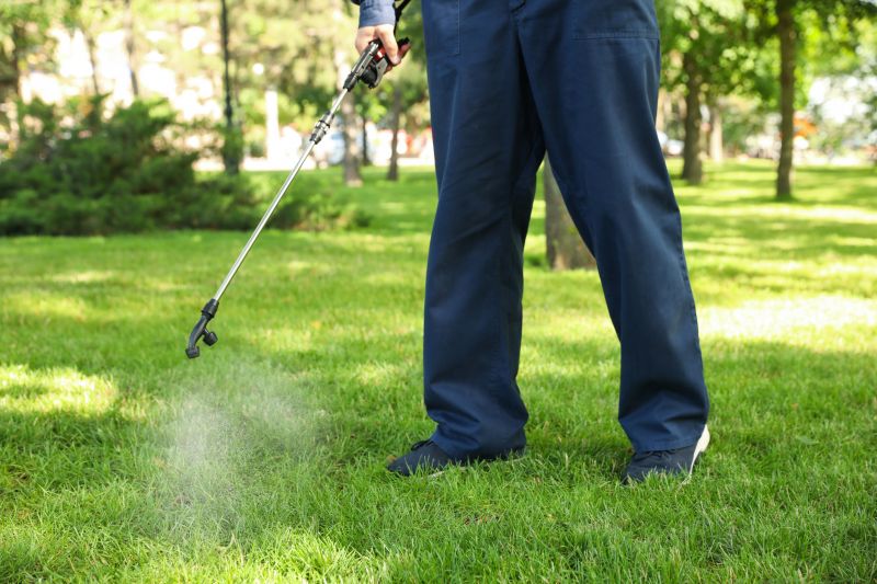 Spring Lawn Fertilizing in Ventura County, CA