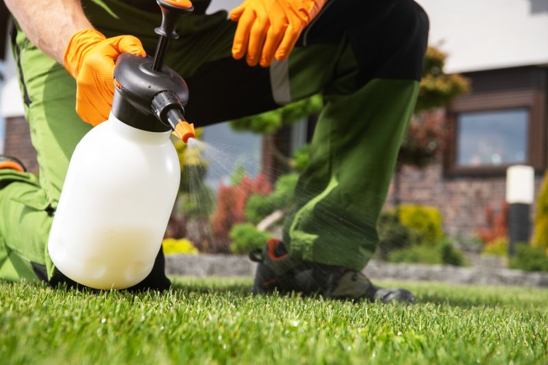 Spring Lawn Treatment in Honolulu, HI