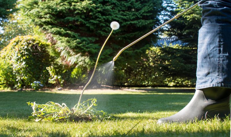 Weed Control Service in Rockwall, TX