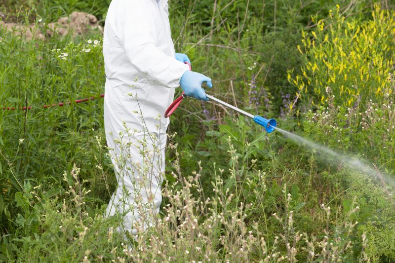 Weed Prevention Service in Rockwall, TX