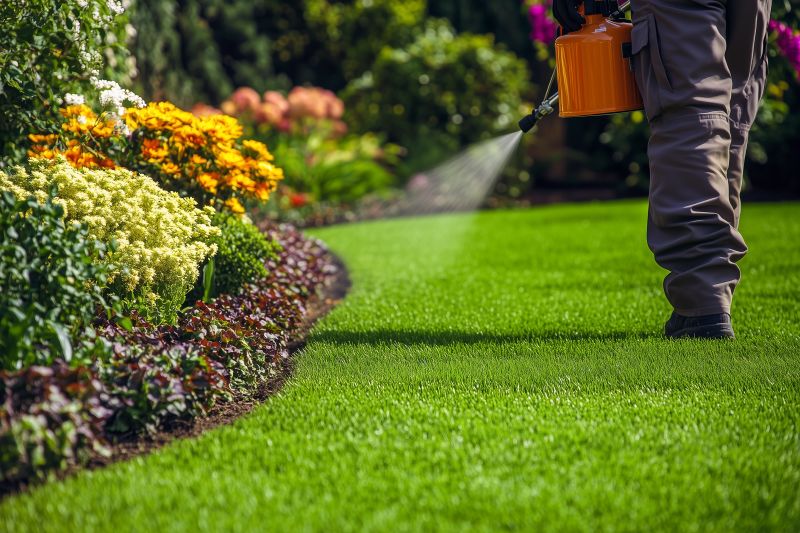 Yard Treatment Service in Honolulu, HI