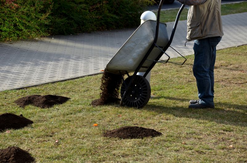 Promote thicker, greener grass